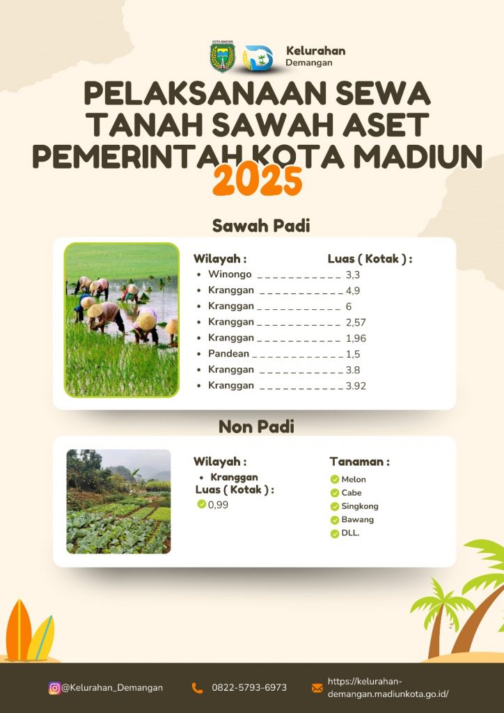 whatsapp image 2025 10 13 at 15.17.04